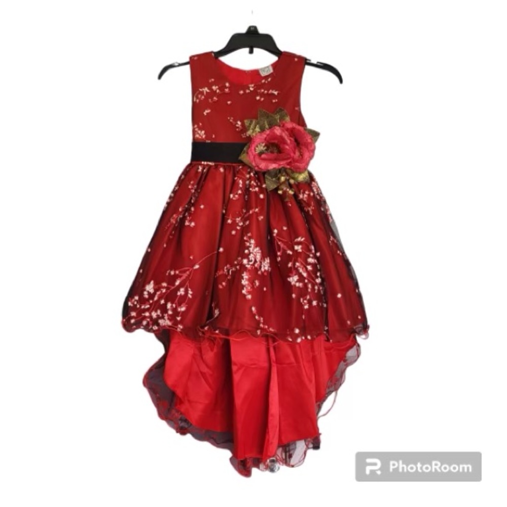 Beautiful Little Girl’s Dress